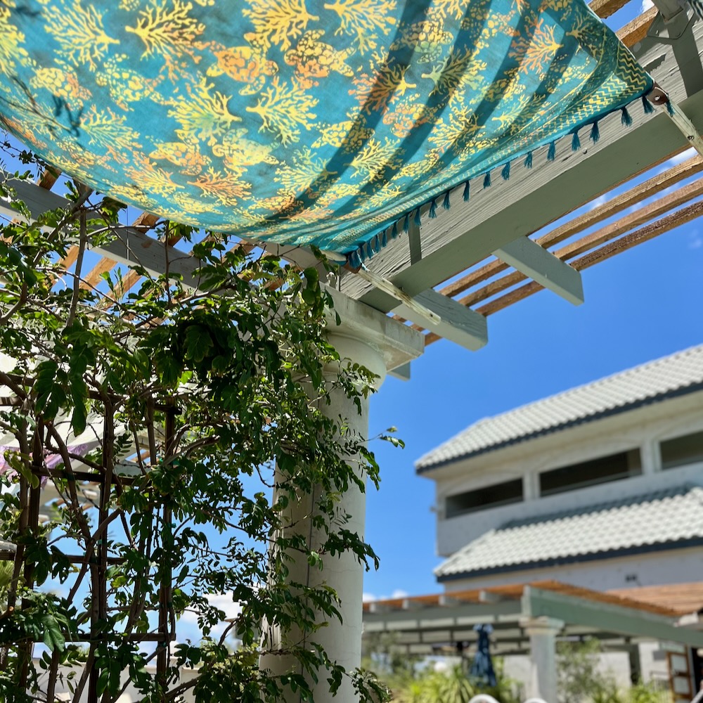 An Afternoon at Azure Palm Hot Springs, Healthy Living + Travel