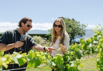 Beyond the Tasting Room: Summer at Quails’ Gate Winery, Healthy Living + Travel