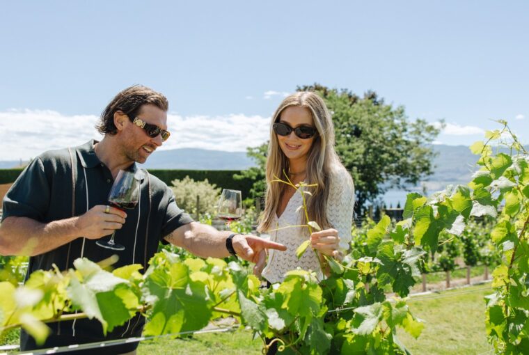 Beyond the Tasting Room: Summer at Quails’ Gate Winery, Healthy Living + Travel
