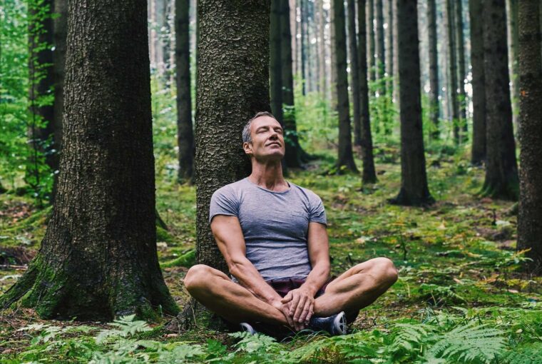 The Tiny Powerhouses Behind Your Energy, Healthy Living + Travel