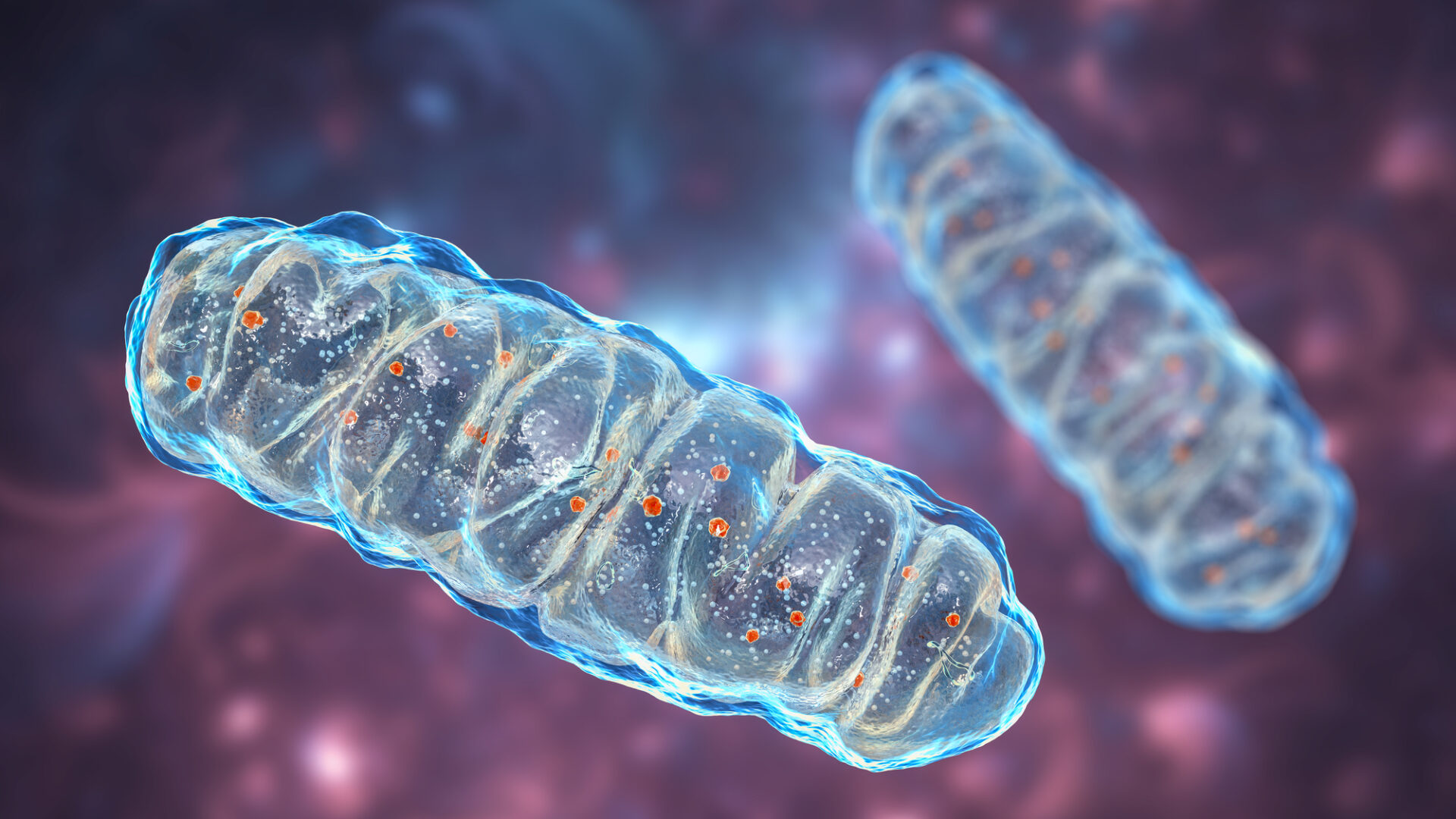 720fc0e-Mitochondria: The Tiny Powerhouses Behind Your Energy, Healthy Living + Travel
