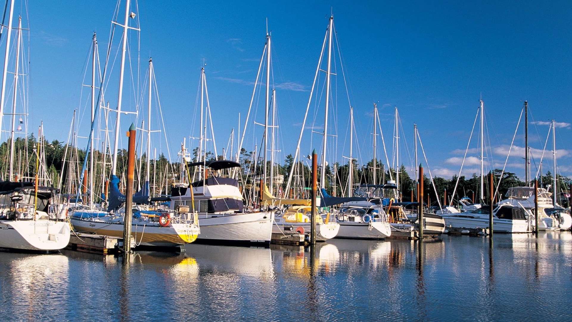 Deep Bay Marina, Vancouver Island, Joanne Johnston of Royal LePage Island Living.jpeg